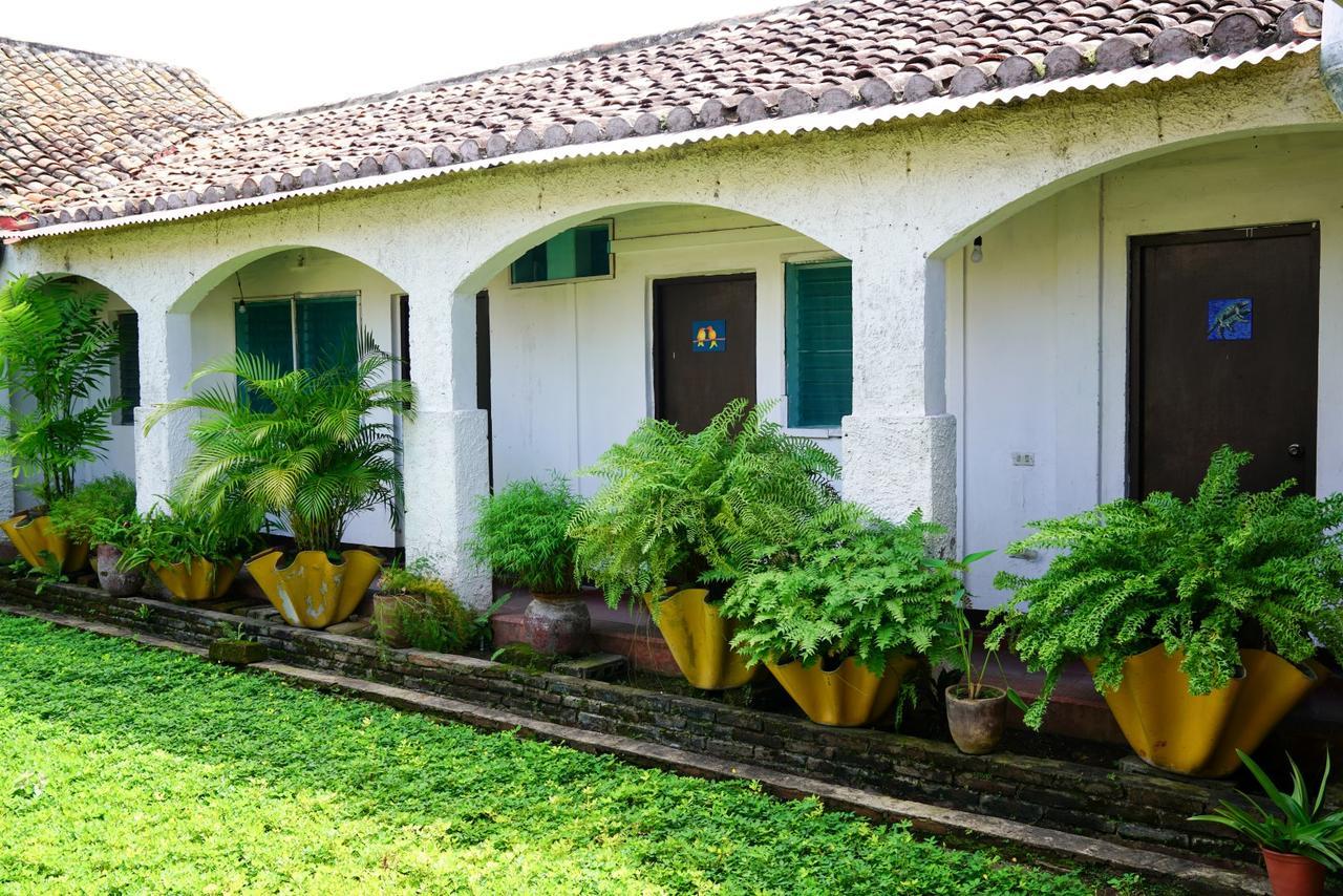 El Arca De Noe Hotel Granada Exterior photo